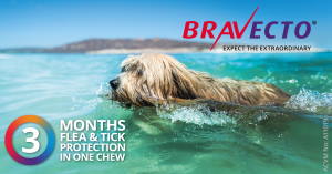 Click for Bravecto chew product information